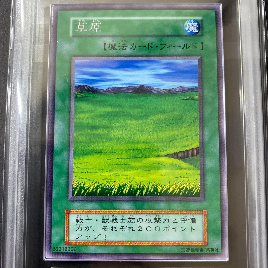 遊戯王　草原　森　初期　ARS10 鑑定書付き　スターターボックス開封品　まとめ