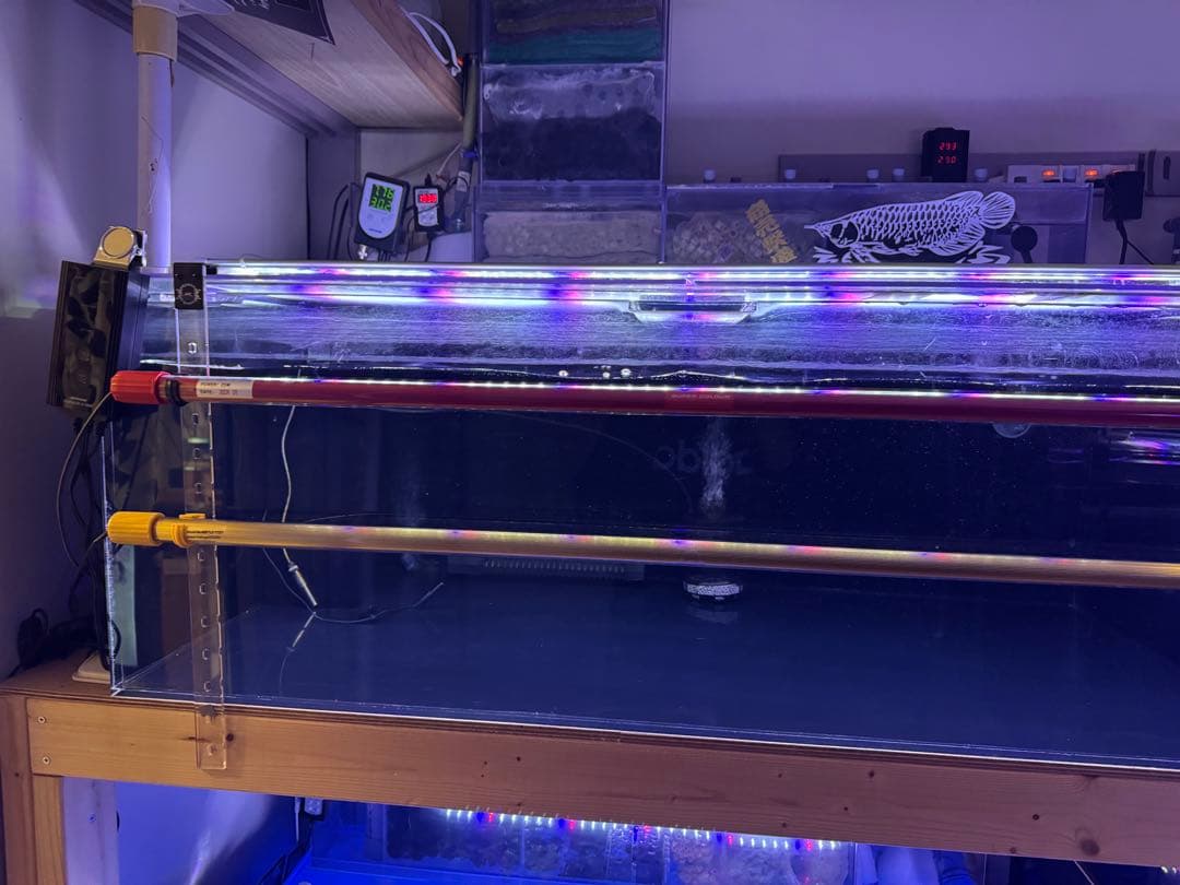 大型アクリル水槽 LEDライト付き