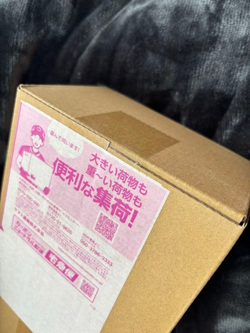 【新品未開封】『即日発送』ポケモンセンター スペシャルBOXヒロシマ