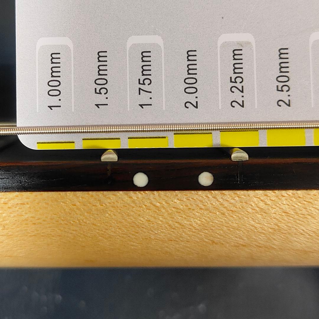 Traveler Guitar Ultra light トラベルギター 現状特価