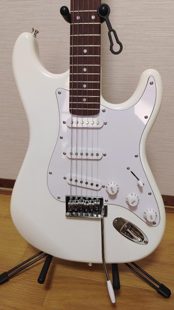 Selder エレキギター (10点セット)