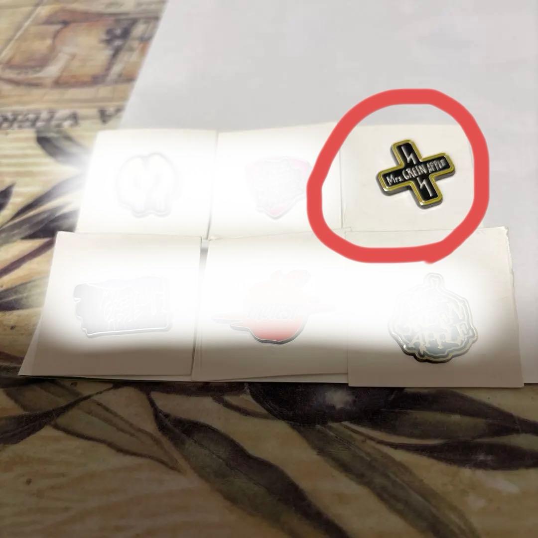 Mrs.GREENAPPLE 2018年ゼンジン未到とプロテストグッズピンバッチ