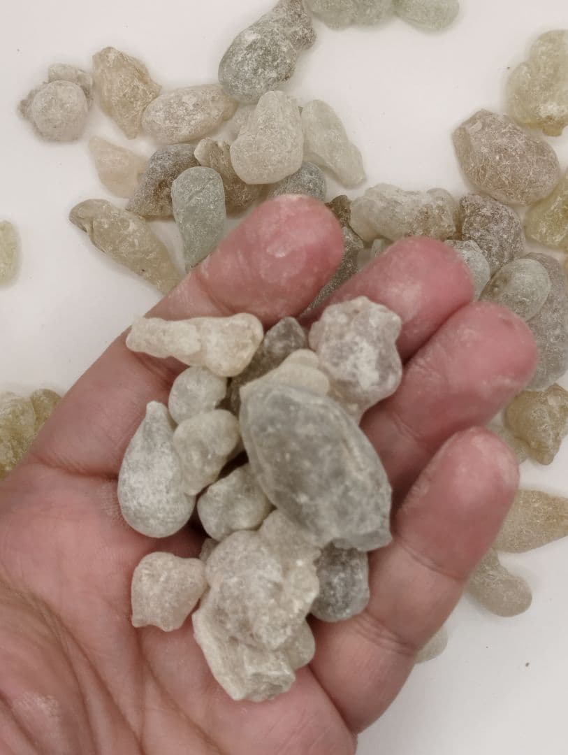 ローヤルグリーンホジャリ最高級フランキンセンスの王様200gお得