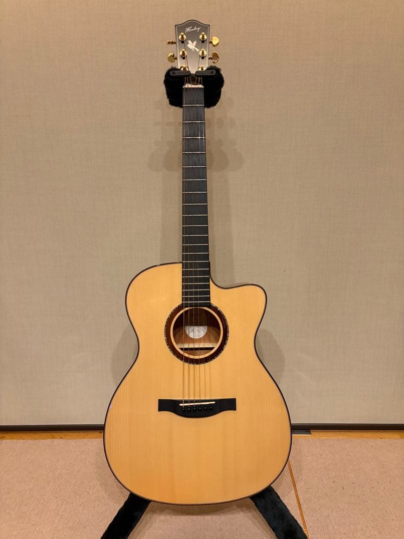 ギター Headway HOC-NORTHBIRD