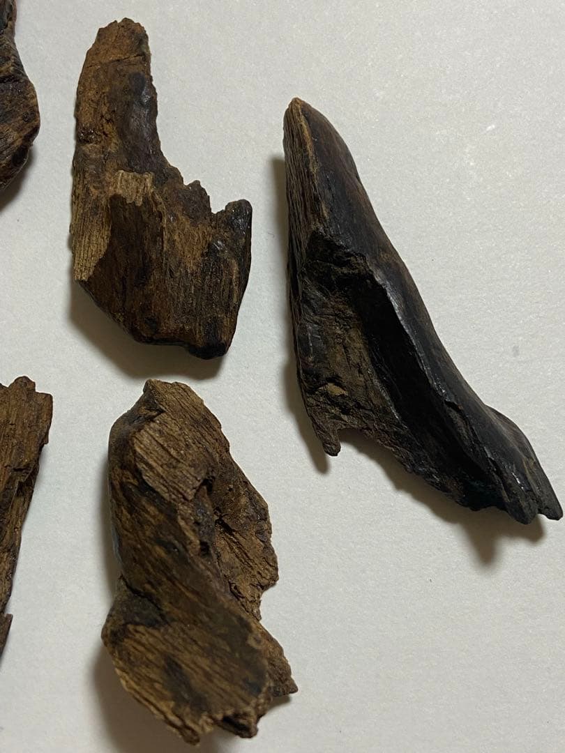 黒タニ詰め合わせ