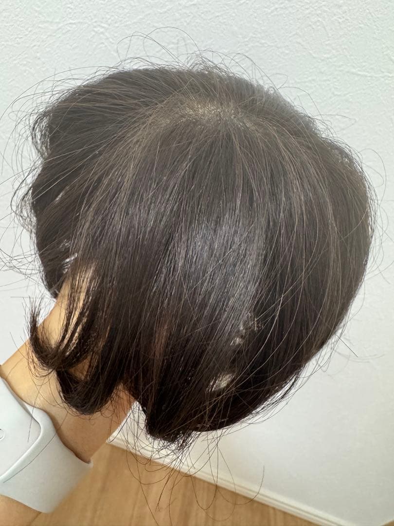 レディースアートネイチャー白髪隠しボリュームアップ用ウィッグ