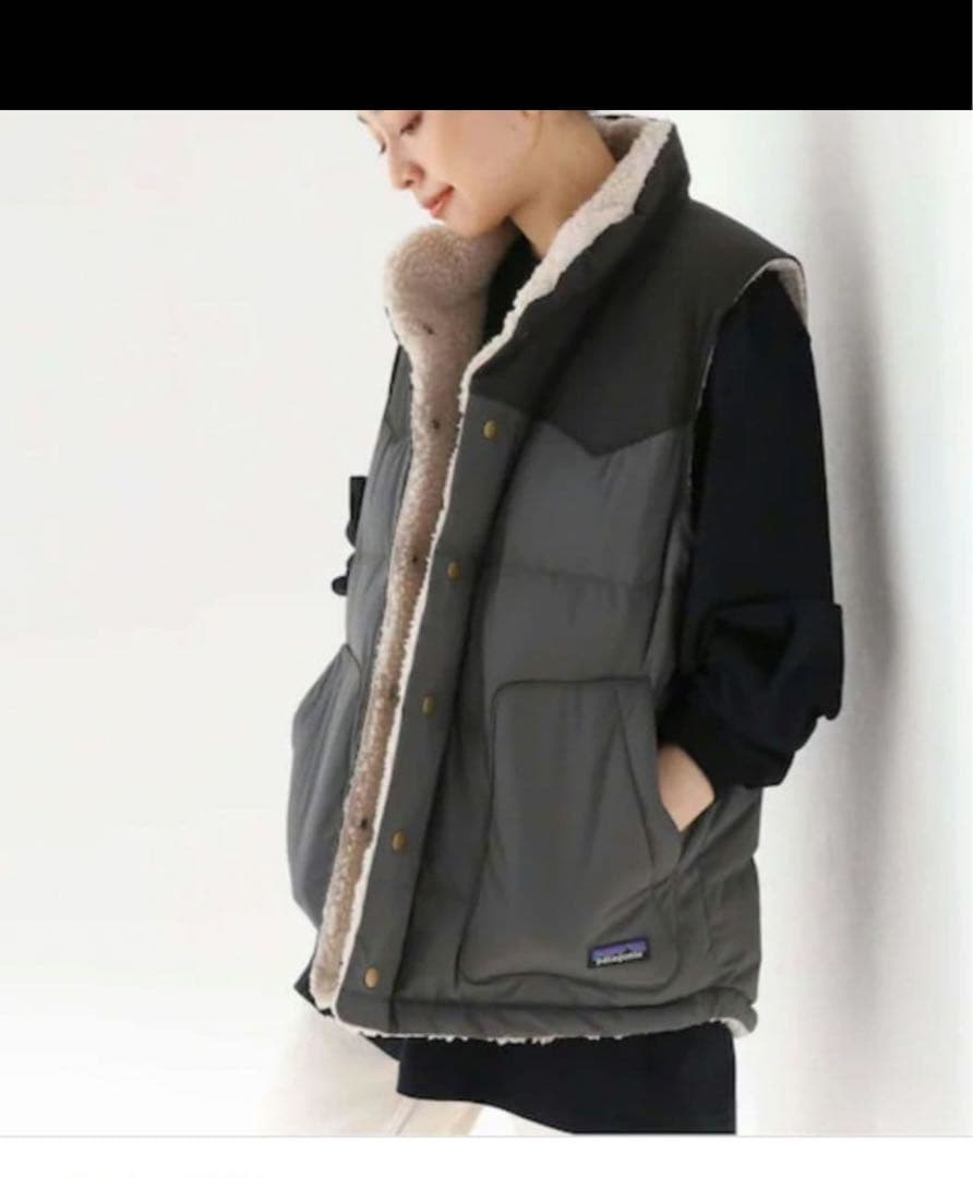 トップス patagonia Men's ReversibleBivy Down Vest