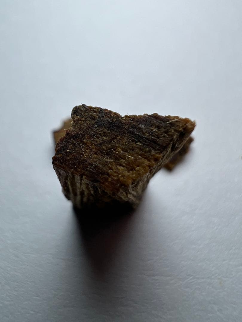 古渡命銘木 名香　酒井雅樂頭銘　伽羅　銘【文合】0.390g 香木/沈香/伽羅