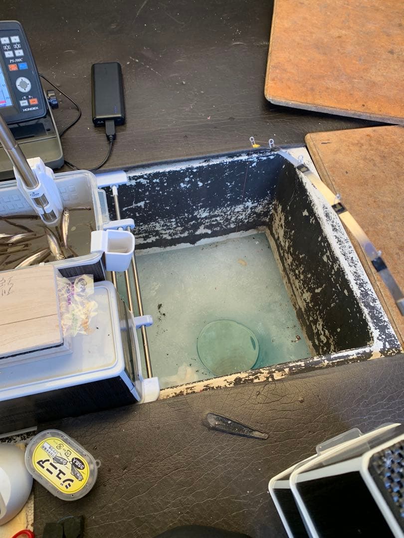 オススメ　氷上ワカサギ釣り　ステンレス穂先　２本　　250ミリ