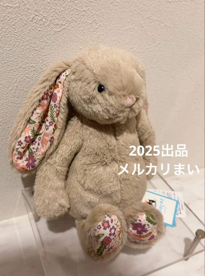  Blossom Beige Bunny 'Petal' （S）