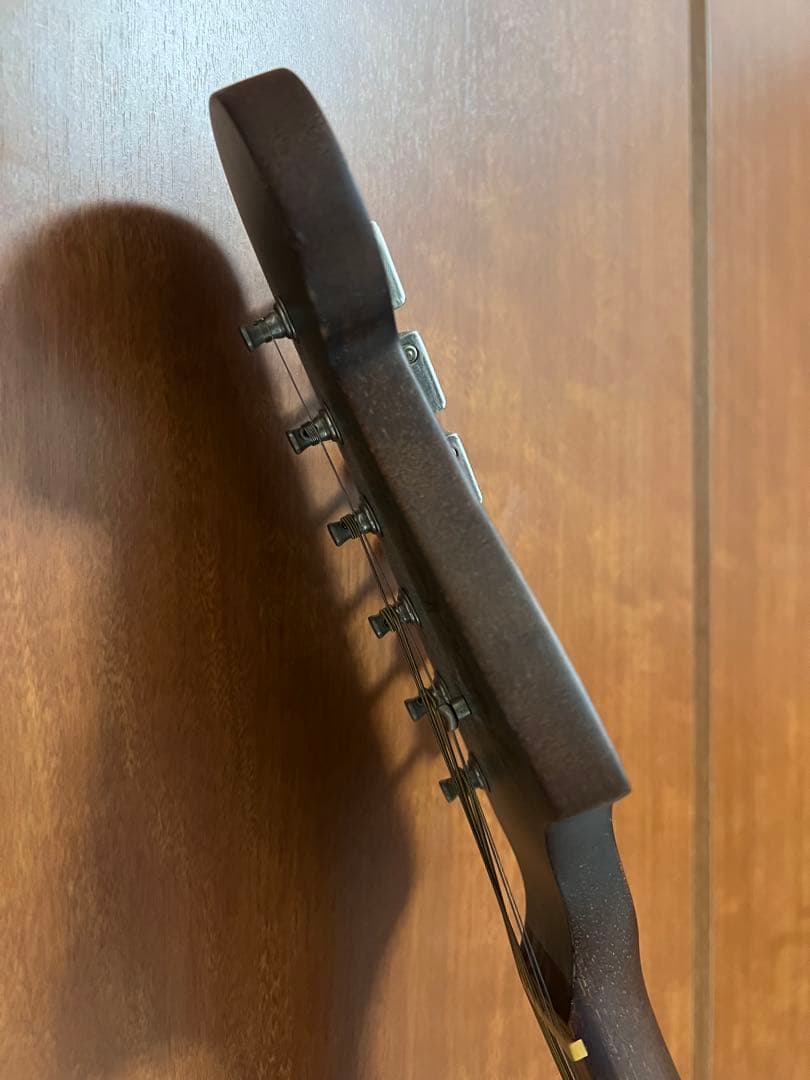 Fender NewporterアコースティックギターTidepool