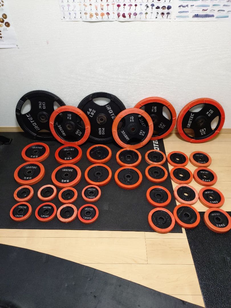 IROTEC アイロテック　ダンベルプレート　シャフト　ベンチ　懸垂スタンド