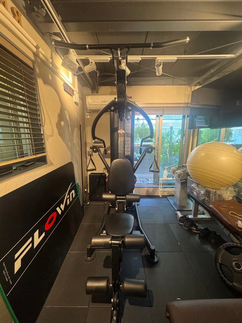 EVOLGEARエヴォルギア ウェイトトレーニングマシン