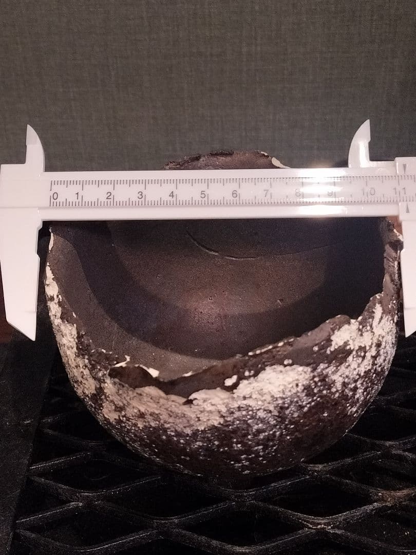 新品 たけろうポット 検) パキプス 芽の巣山 Tacson カタフ ホリダス