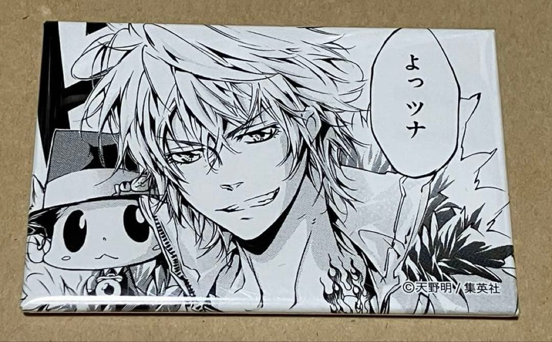 家庭教師ヒットマンreborn ディーノ キャラバッジコレクション リボーン