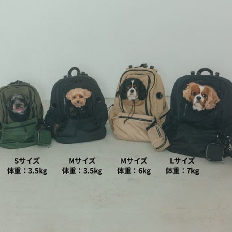 【新品】未使用 MATIE ペットリュック Lサイズ 犬用 ブラック
