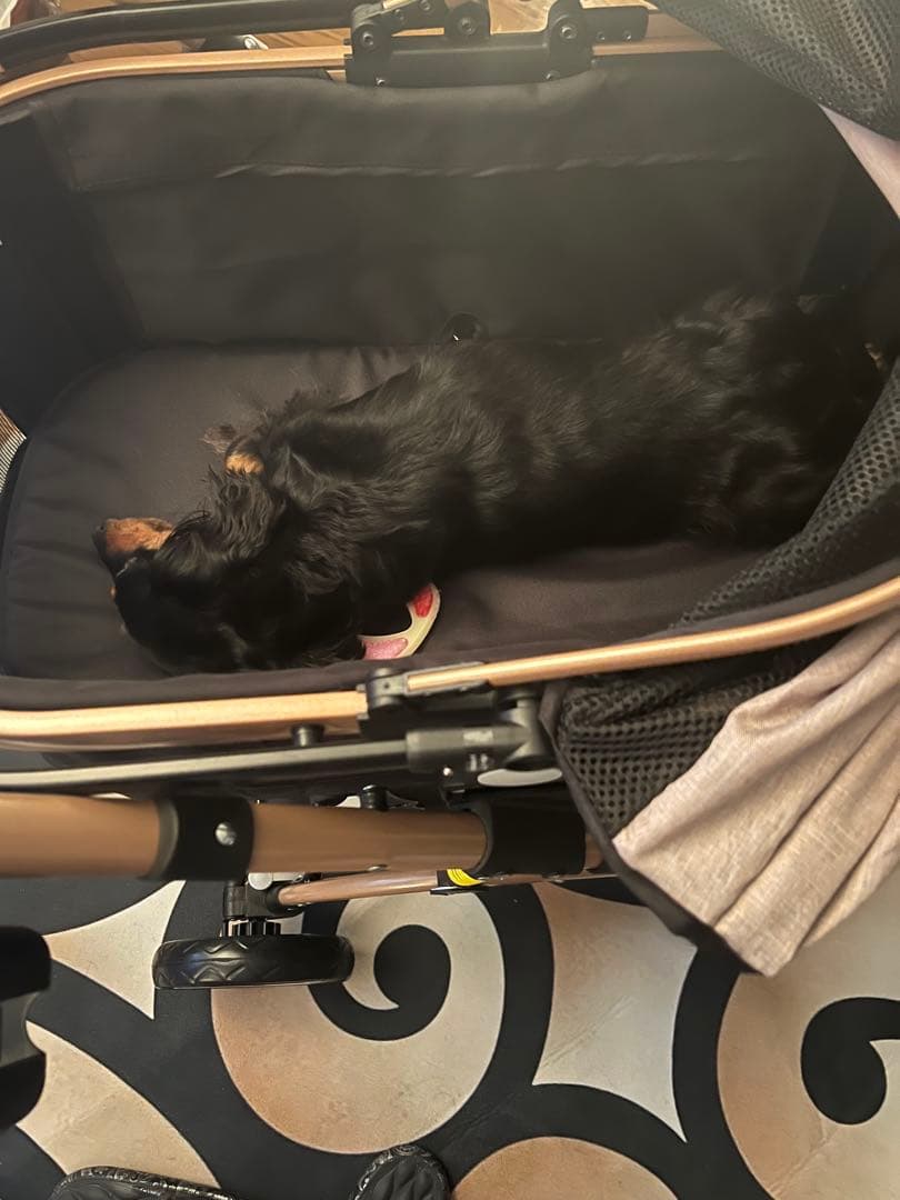 スカッパー 中型犬用ペットカート ブラック/ベージュ