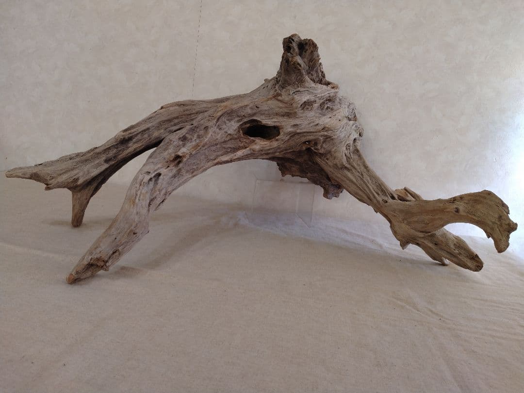 【希少】アクアリウム・ガーデニング・DIY向け 特大塊根ホーンウッド 70cm