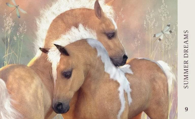 【正規品オラクルカード】超希少✨美しく幻想的な馬たちの知恵のオラクルカード