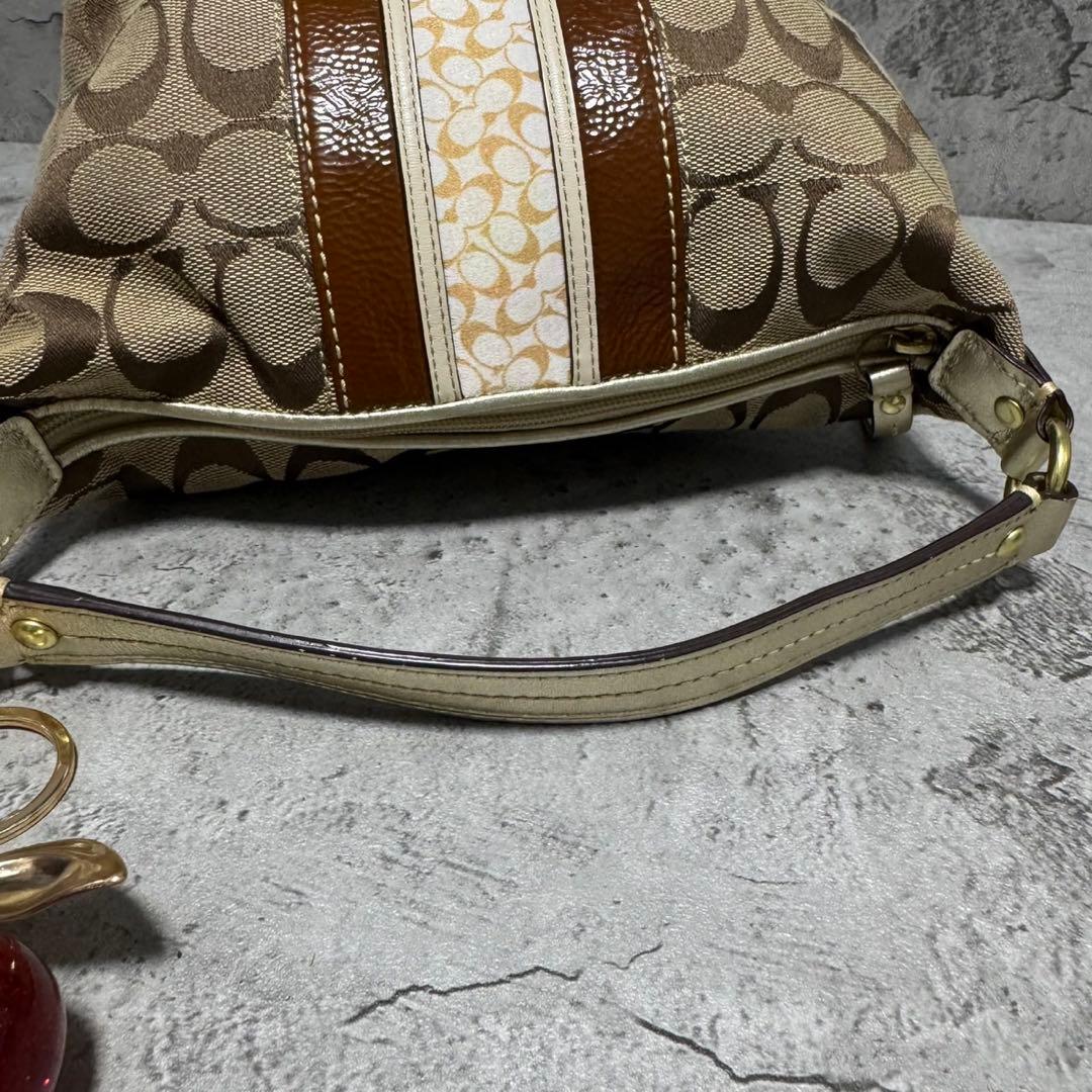 バッグ Coach Y2K Hobo Signature Accessory Pouch