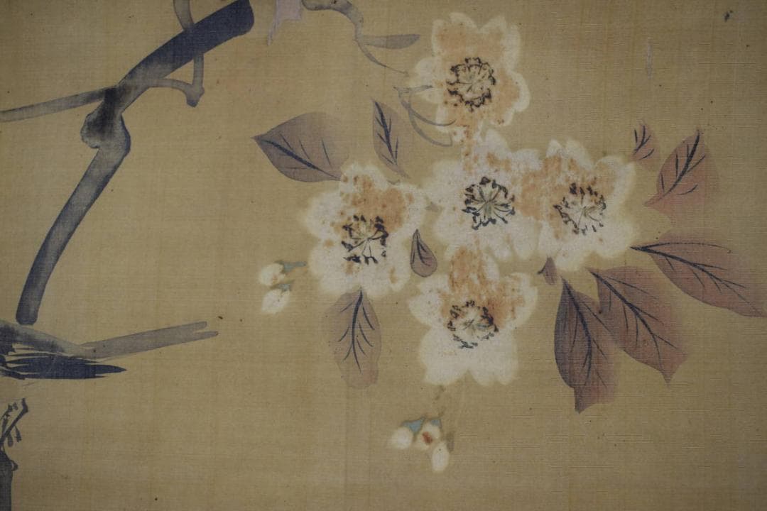 酒井抱一/山桜小禽図/桜に小鳥図/大横物/掛軸☆宝船☆Y-747　JM