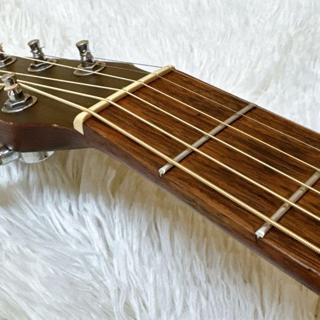 Seagull S6+tobacco L.R.Baggs搭載 エレアコ