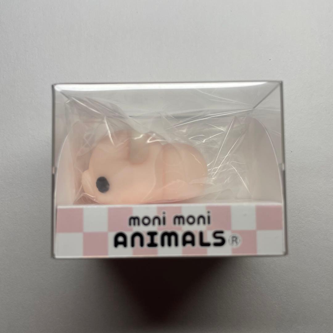 もにまるず ぶた moni moni ANIMALS
