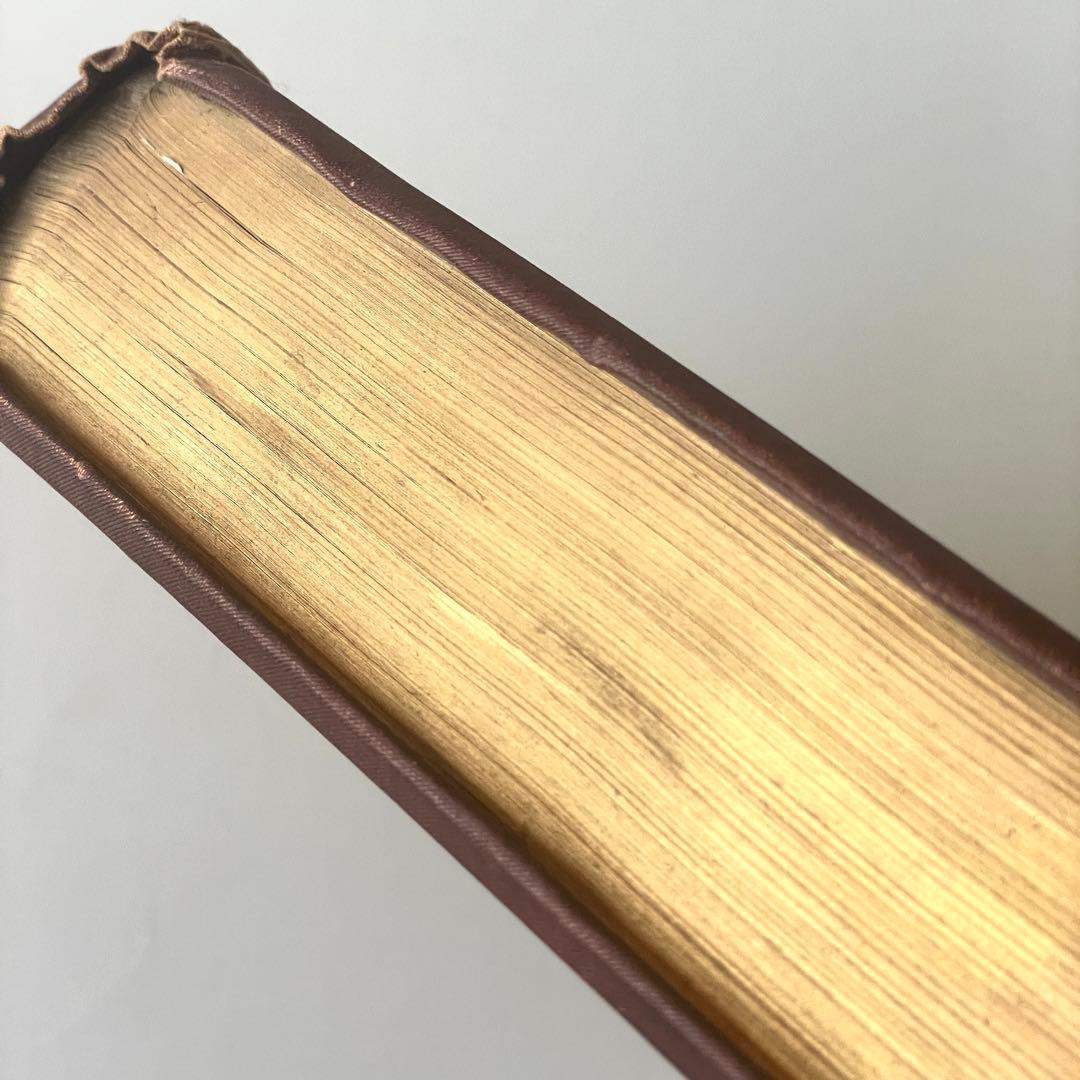 【超希少な初版！】1895年 ジョージ・モーティマ・ケルソン『サーモンフライ』