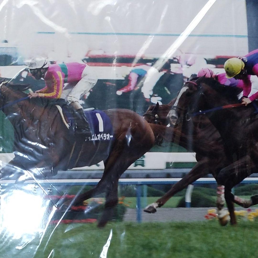 テイエムオペラオーの写真パネル