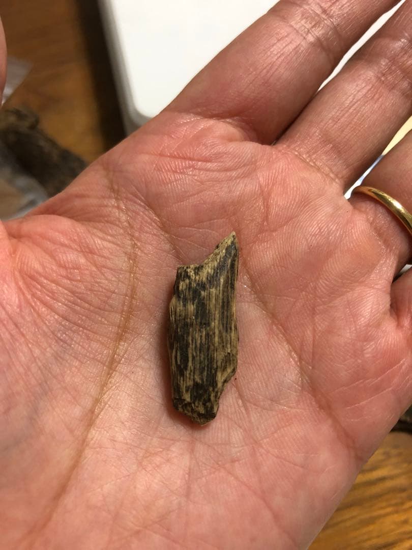 香木製産高品質沈香伽羅1.5g香木水に沈みます。