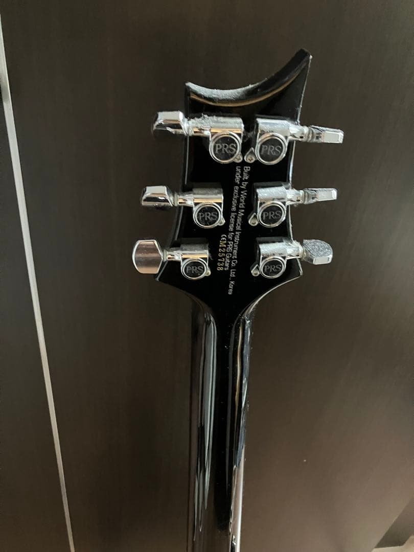 かぴ丸 Paul Reed Smith PRS SE