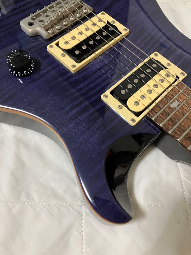 かぴ丸 Paul Reed Smith PRS SE