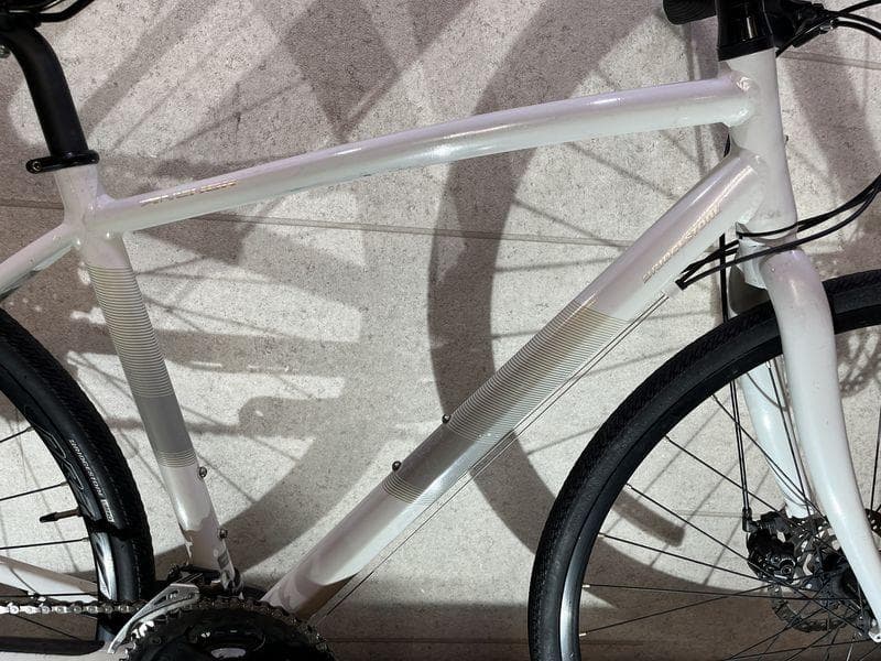 BRIDGESTONE ANCHOR RL1 disc ブリヂストン　ホワイト