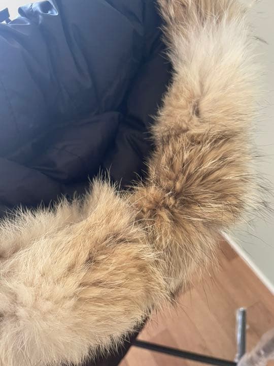 タラぴよさん専用‼️カナダグース⭐️ダウン