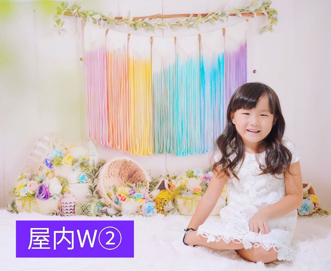 背景布×10+2　ペット撮影用フォトブース　トリミングチョーカー販売中　Xmas