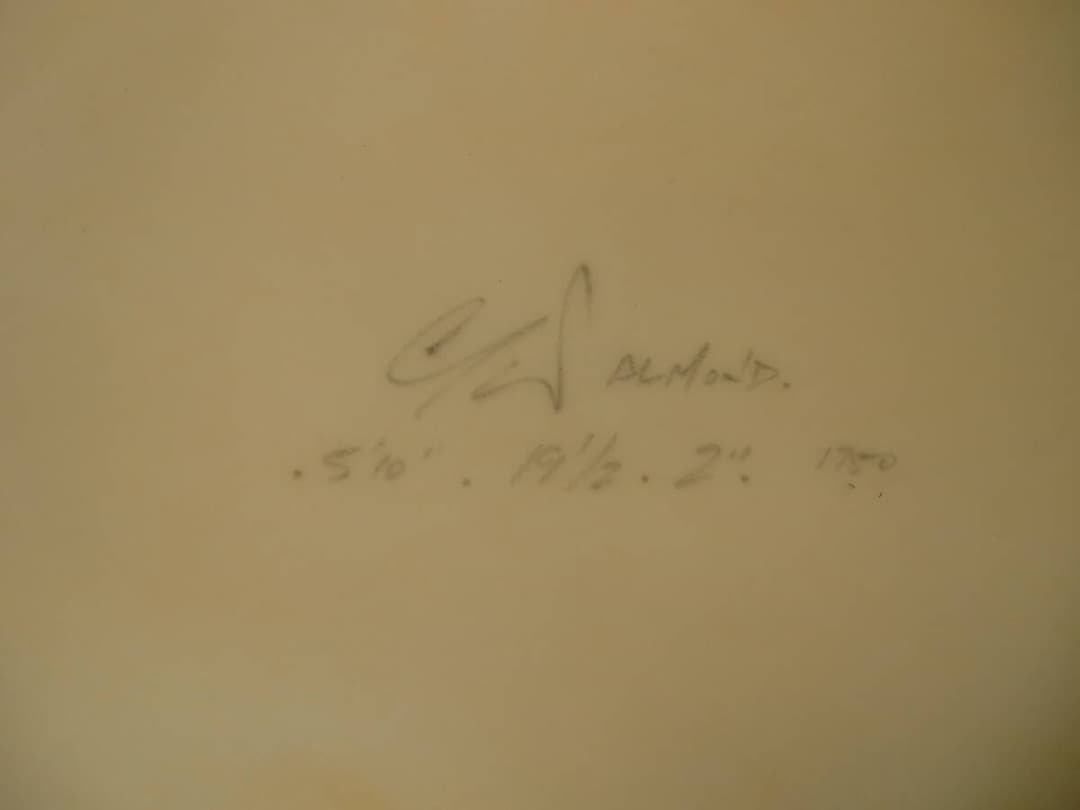 WEBBER ショートボード 5'10\" サーフィン