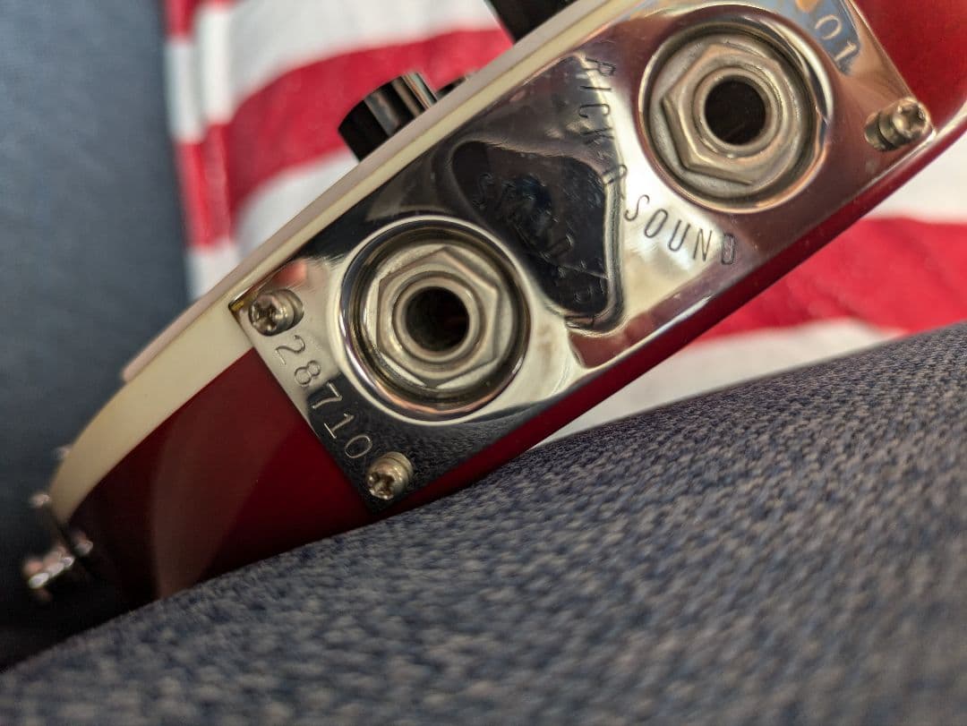 Rickenbacker 320 12弦