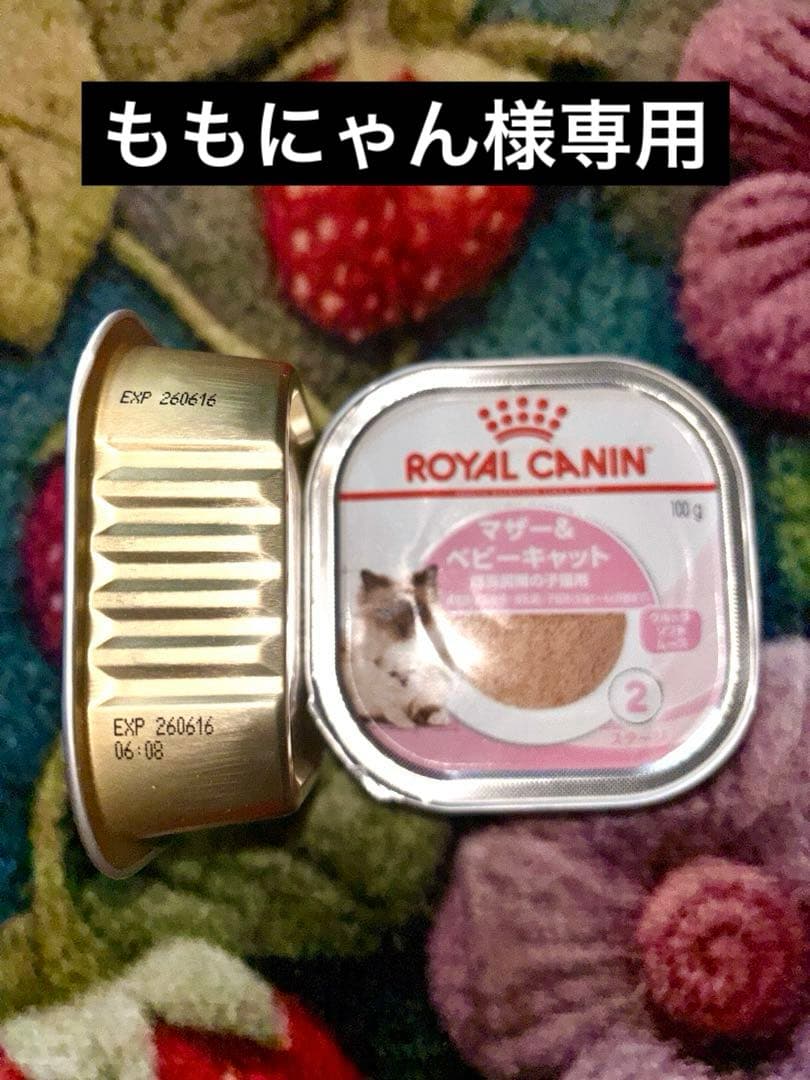 ロイヤルカナン マザー＆ベビー(成長前期子猫用) 40個