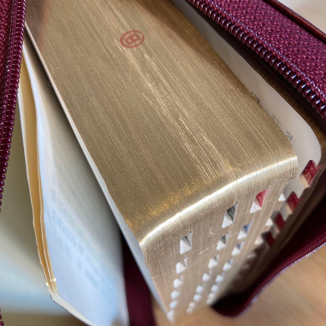 聖書　新共同訳　旧約聖書続編つき　ジッパーケース付き