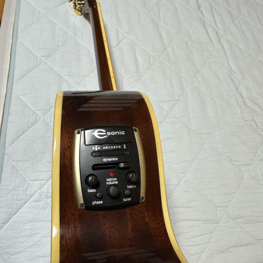 t*e様 PR-5E/N エピフォン エレアコ カッタウェイ