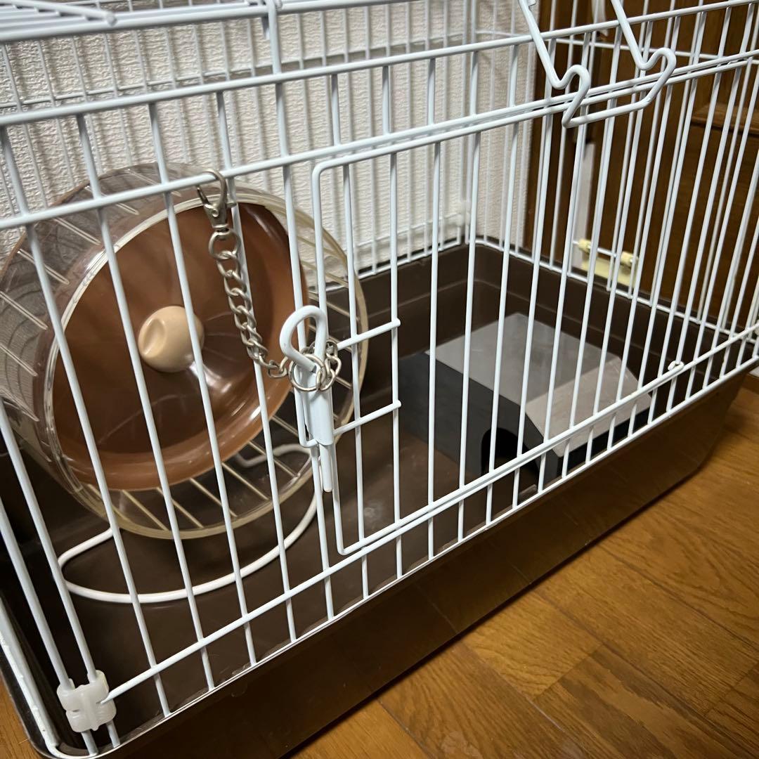 ハリネズミ用飼育セット