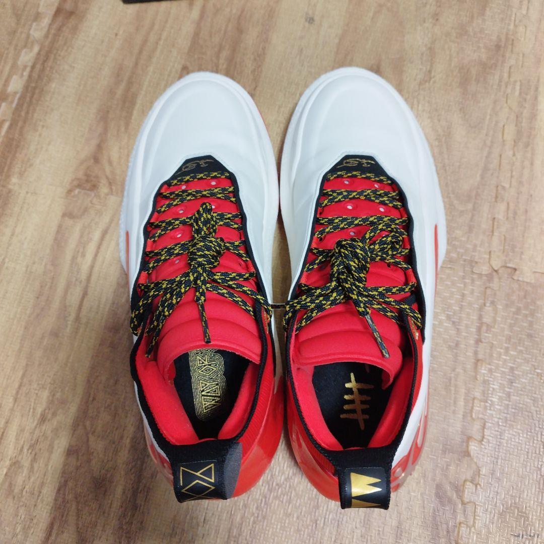 h*e様 Li-NING Way of Wade 11 US10.5 自宅にて試