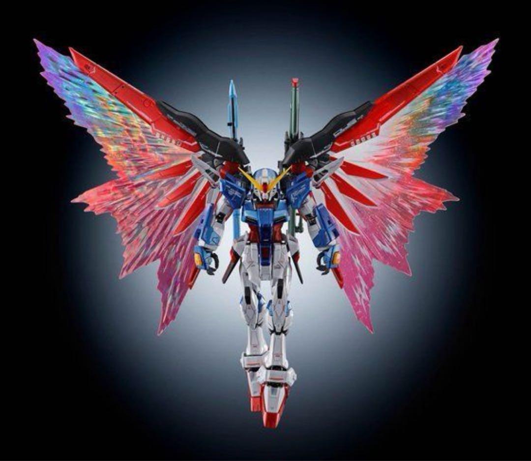 RG 1/144 デスティニーガンダム ［チタニウムフィニッシュ］光の翼セット