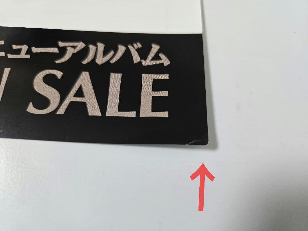 デッドオアアライブ　ツアーパンフ　DEAD OR ALIVE ピート・バーンズ