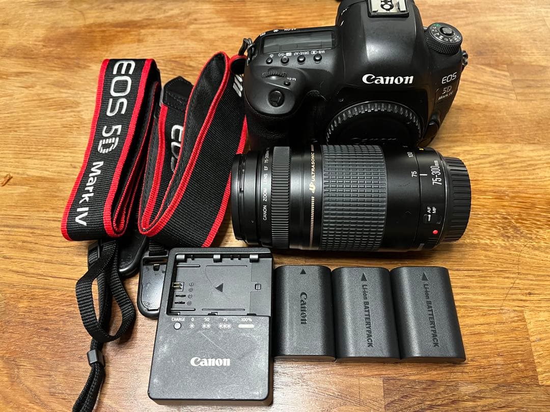 Canon EOS 5D Mark 4 + EF 75-300mm USMレンズ