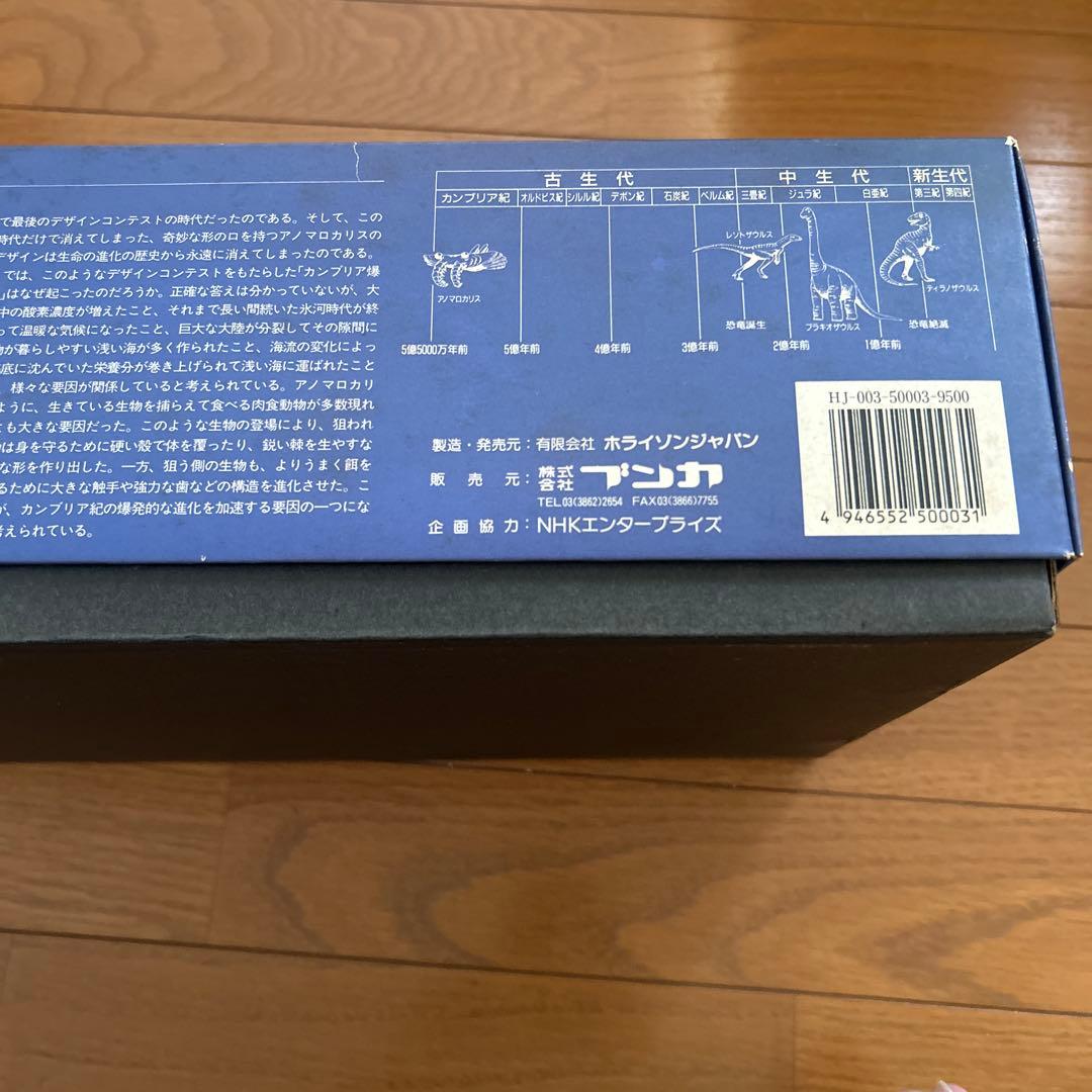カンブリア紀　アノマロカリス　フィギュア　化石　復元モデル　NHKスペシャル