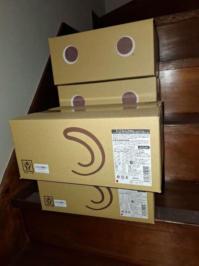 ドットわん （あんず様）red mind 1kg×3袋×4箱