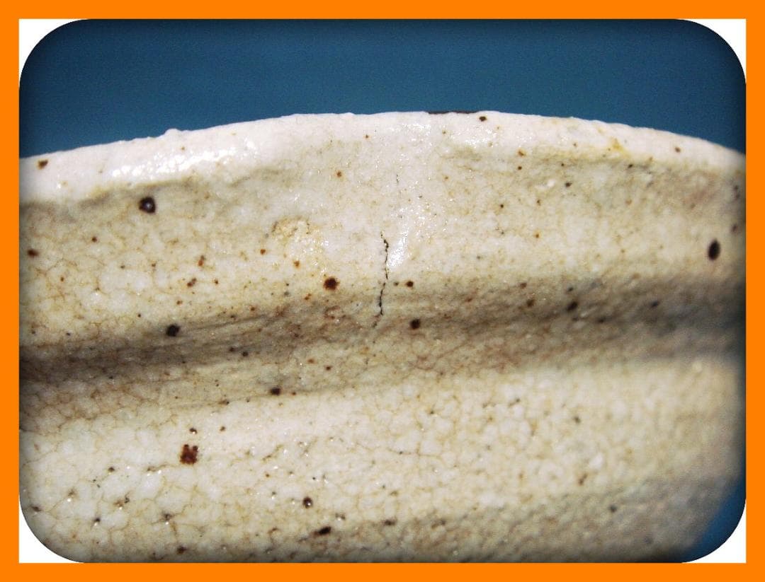 818『志野 草鳥 三ッ足鉢』　/骨董品 古美術 古道具 アンティーク