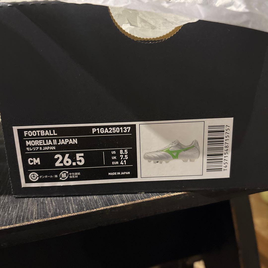 モレリアⅡJapan