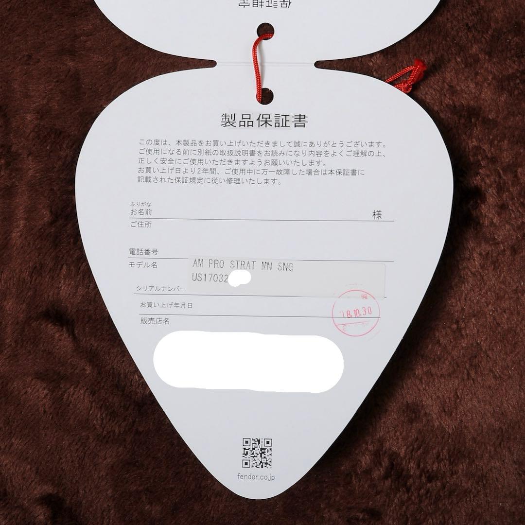 ギター Fender American Professional ST